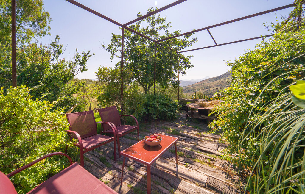 Cerasuola, maison bio en domaine oléicole - Photo 6