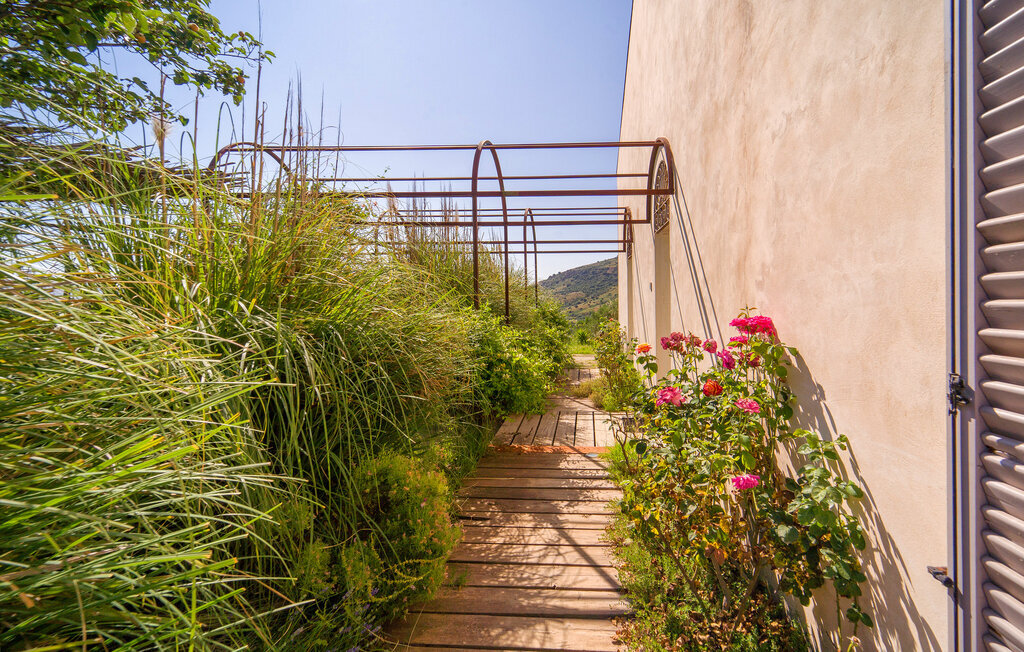 Cerasuola, maison bio en domaine oléicole - Photo 31