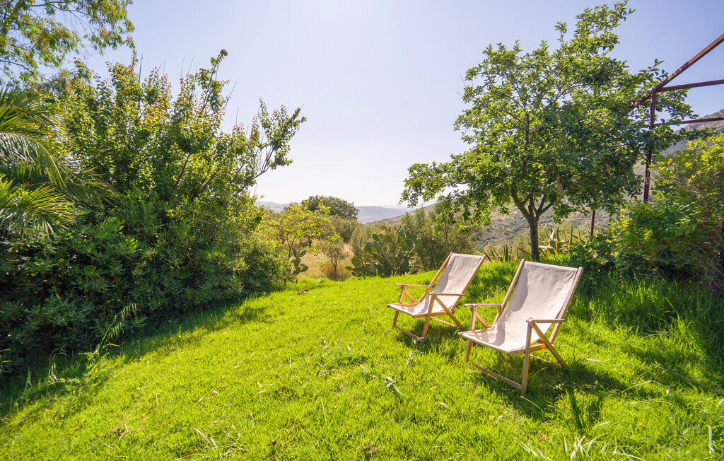 Cerasuola, maison bio en domaine oléicole - Photo 33