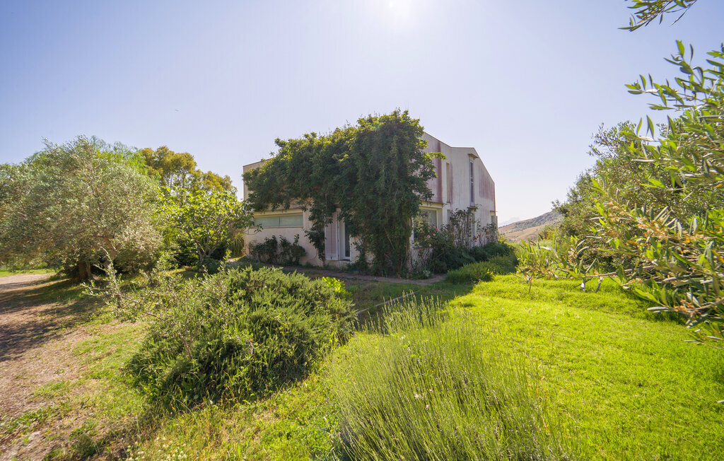 Cerasuola, maison bio en domaine oléicole - Photo 34