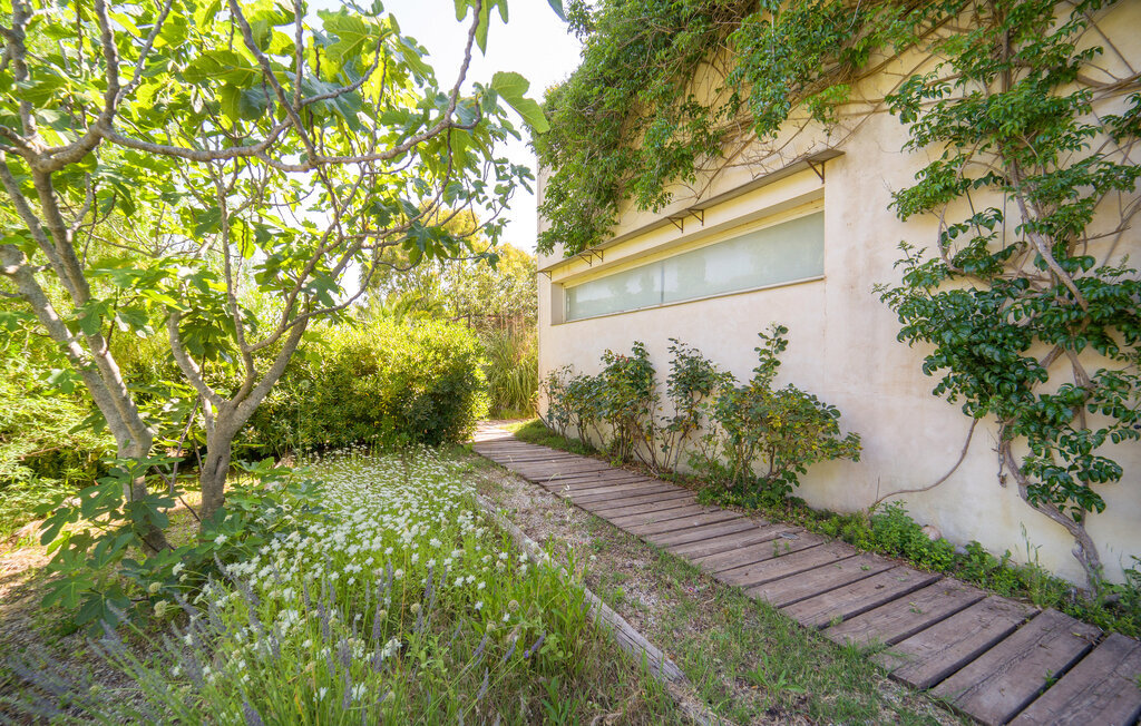 Cerasuola, maison bio en domaine oléicole - Photo 35