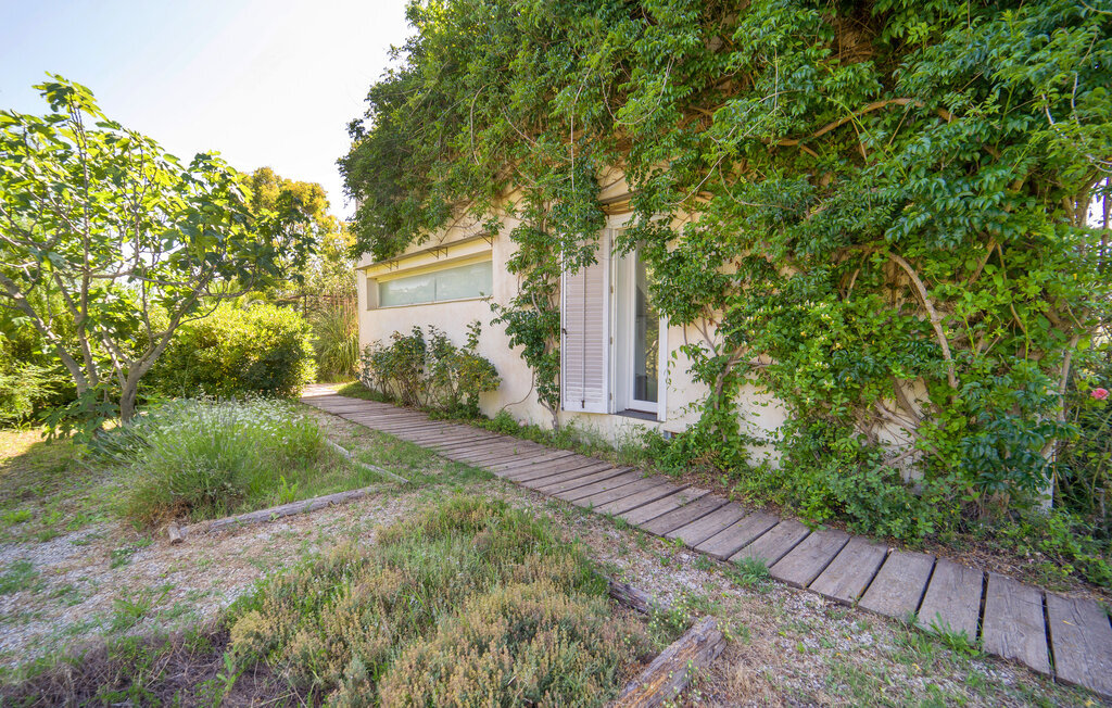 Cerasuola, maison bio en domaine oléicole - Photo 36