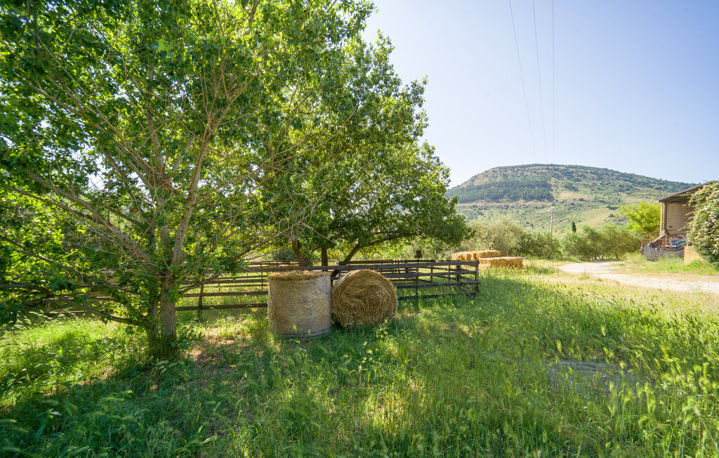 Cerasuola, maison bio en domaine oléicole - Photo 76