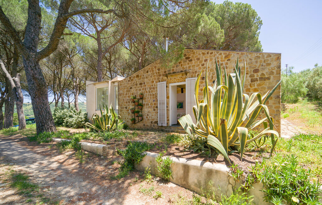 Nocellara – Maison indépendante sur domaine oléicole - Photo 2