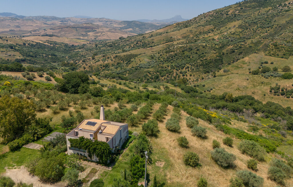 Nocellara – Maison indépendante sur domaine oléicole - Photo 9