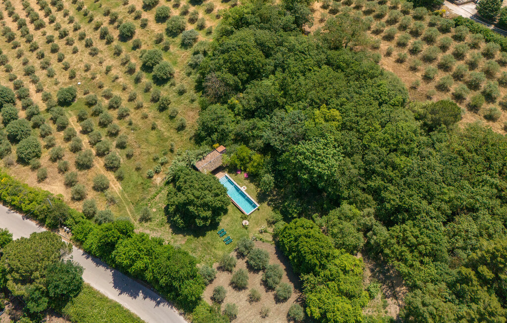 Nocellara – Maison indépendante sur domaine oléicole - Photo 16