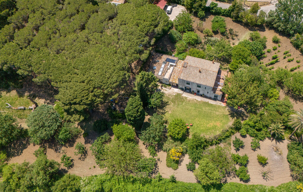 Nocellara – Maison indépendante sur domaine oléicole - Photo 20