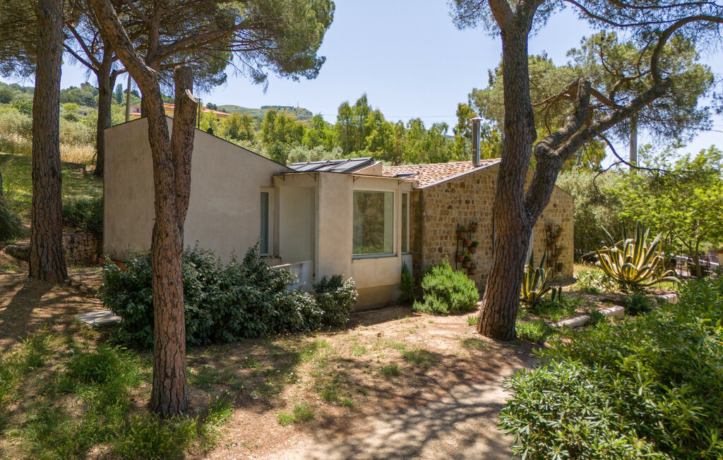 Nocellara – Maison indépendante sur domaine oléicole - Photo 21