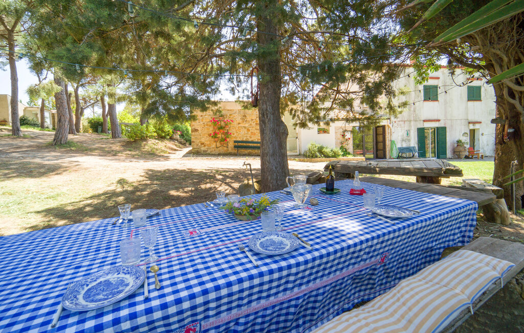 Nocellara – Maison indépendante sur domaine oléicole - Photo 23