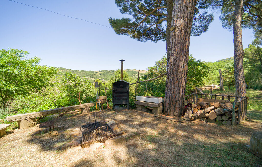 Nocellara – Maison indépendante sur domaine oléicole - Photo 26