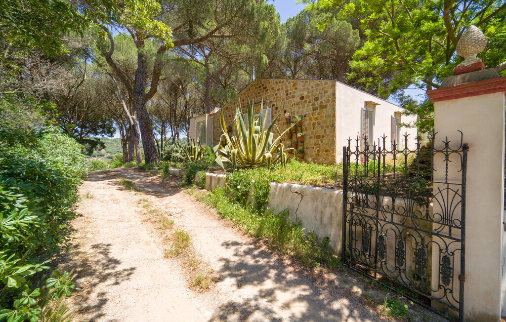 Nocellara – Maison indépendante sur domaine oléicole - Photo 27