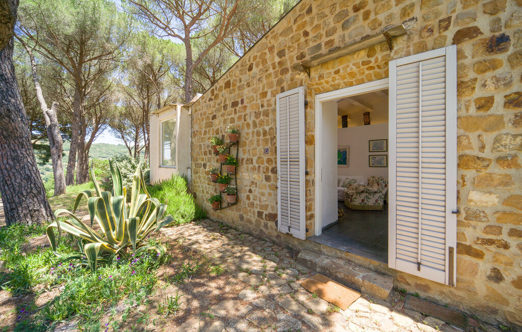 Nocellara – Maison indépendante sur domaine oléicole - Photo 28