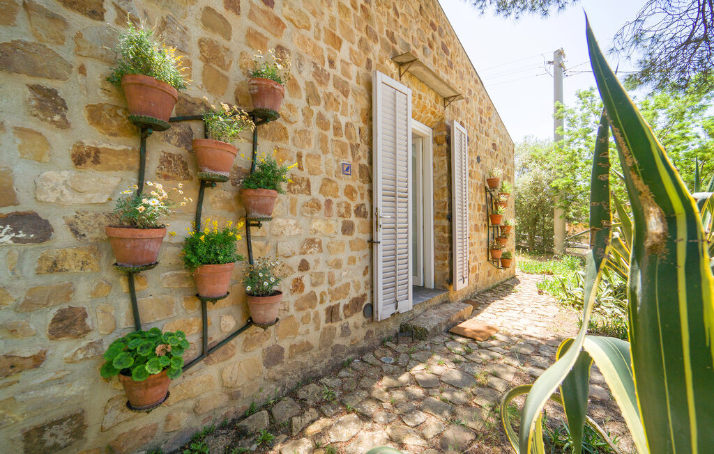 Nocellara – Maison indépendante sur domaine oléicole - Photo 29