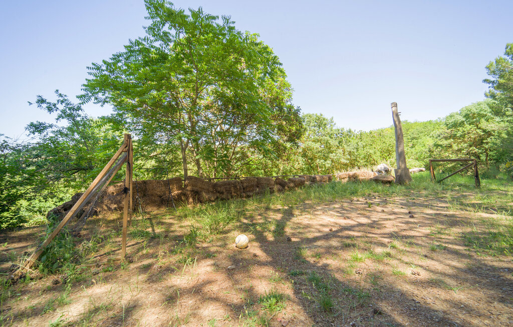 Nocellara – Maison indépendante sur domaine oléicole - Photo 63