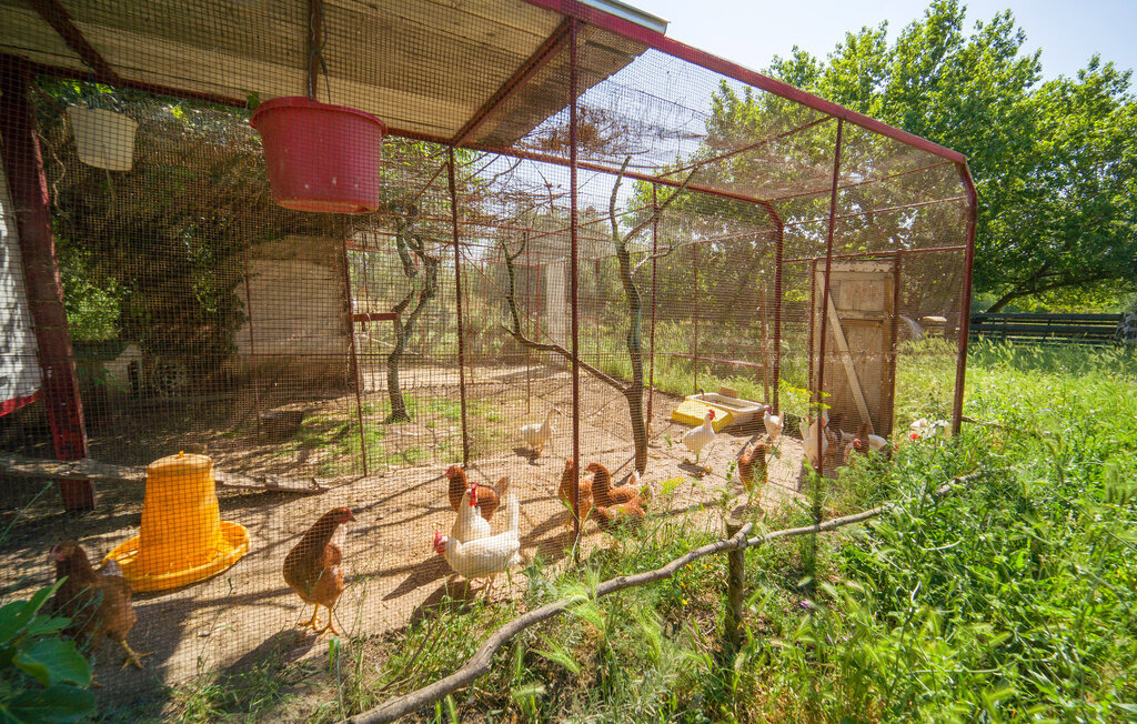 Nocellara – Maison indépendante sur domaine oléicole - Photo 66