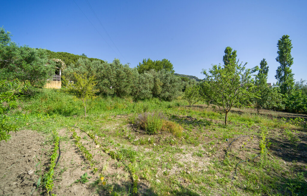 Appartement Biancolilla à Alia, domaine oléicole bio - Photo 62