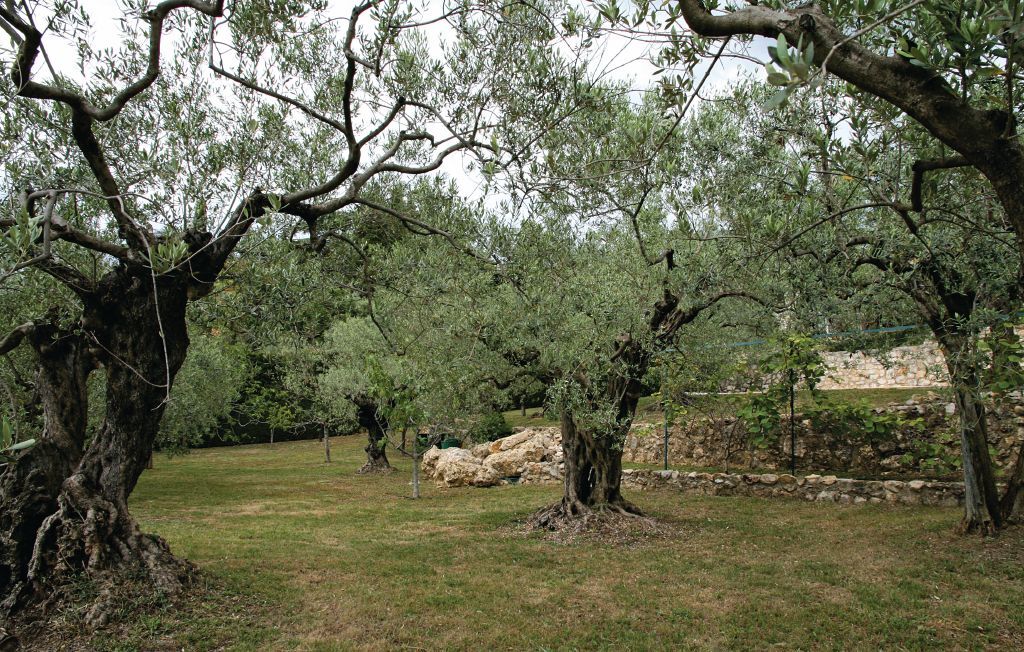 Maison 11 personnes à Fayence - Photo 7