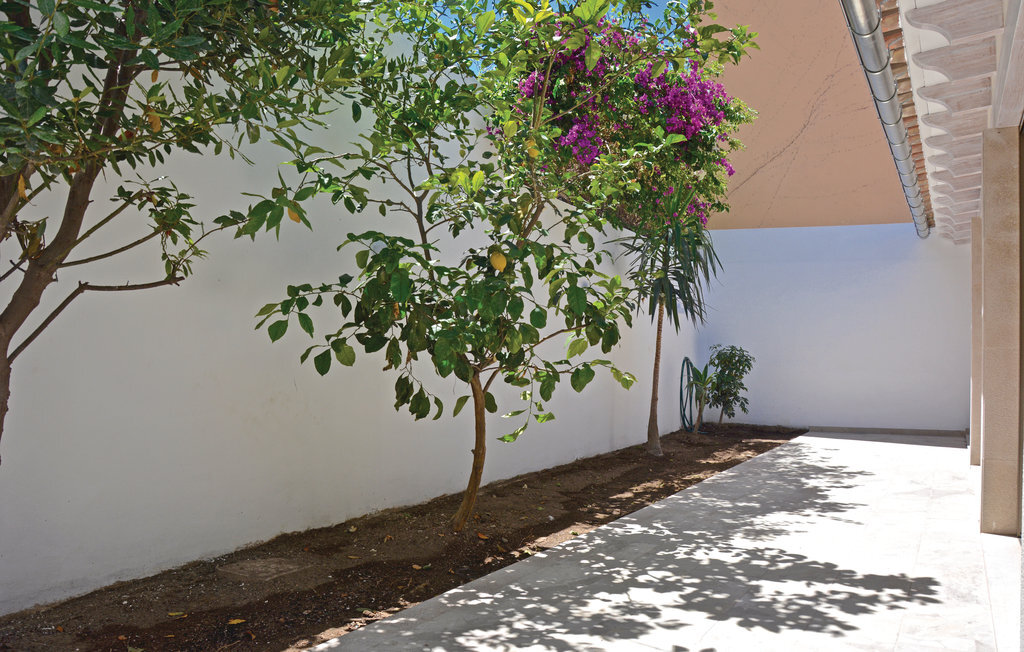 ES MOLINAR, Maison 6 personnes à Palma de Mallorca - Photo 8