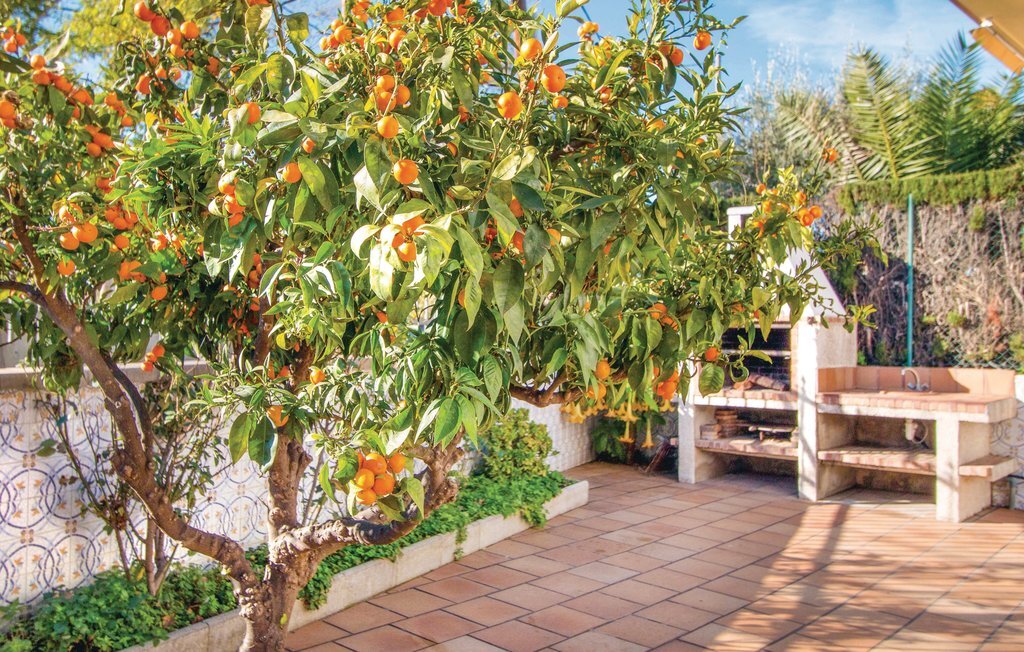 Maison 7 chambres avec jardins, vue mer à Santa Susanna - Photo 12