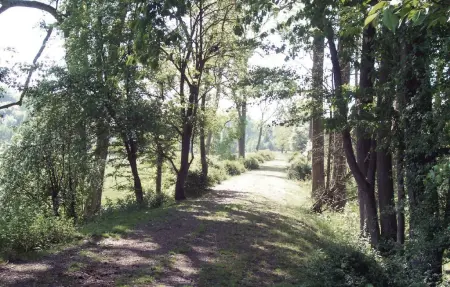 Maison 75 m² vallée de l'Oise, Romery : photo 19