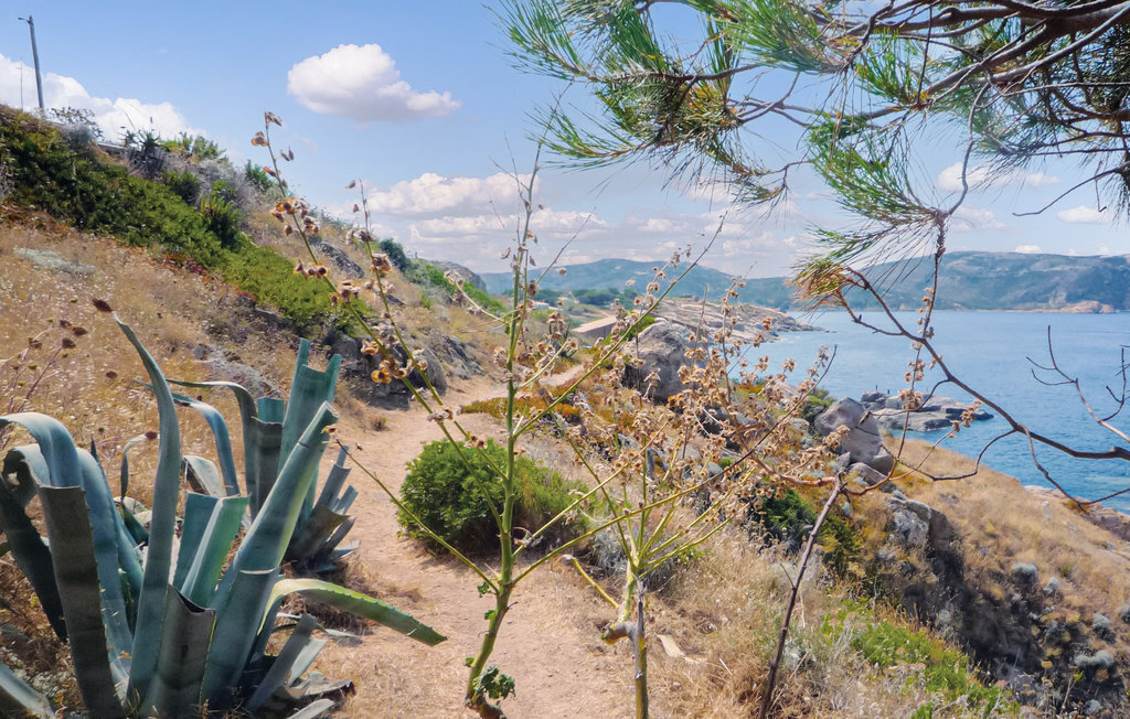 Maison méditerranéenne à Calvi avec vue sur le phare - Photo 24