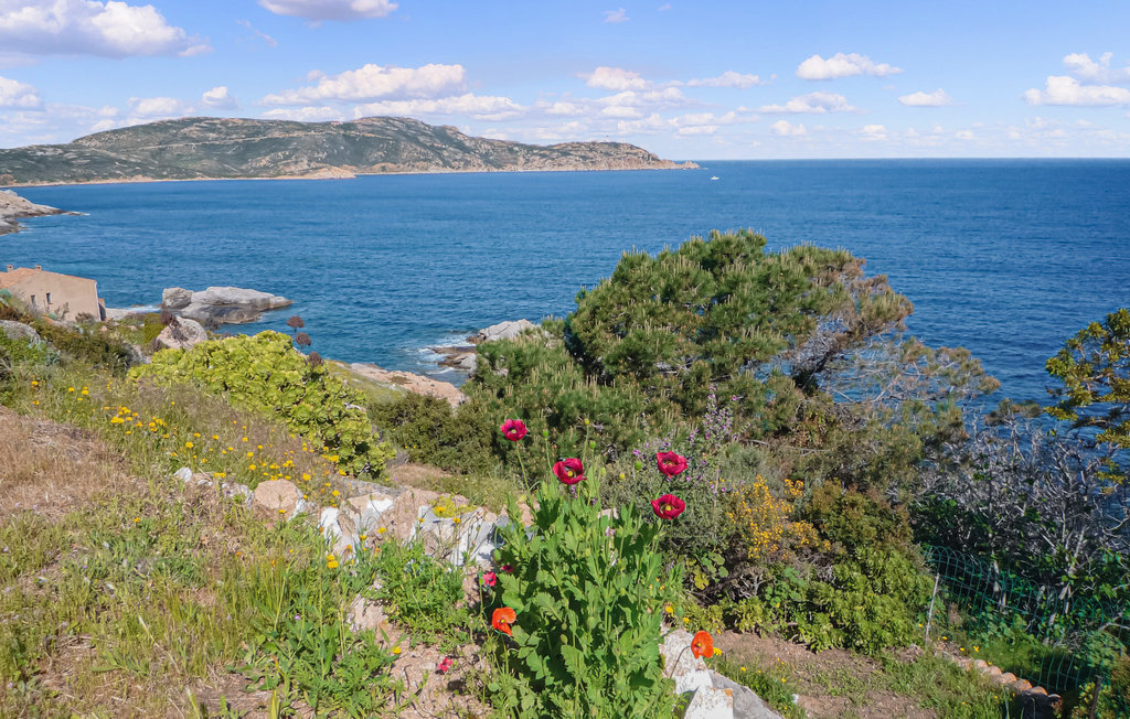 Maison méditerranéenne à Calvi avec vue sur le phare - Photo 28