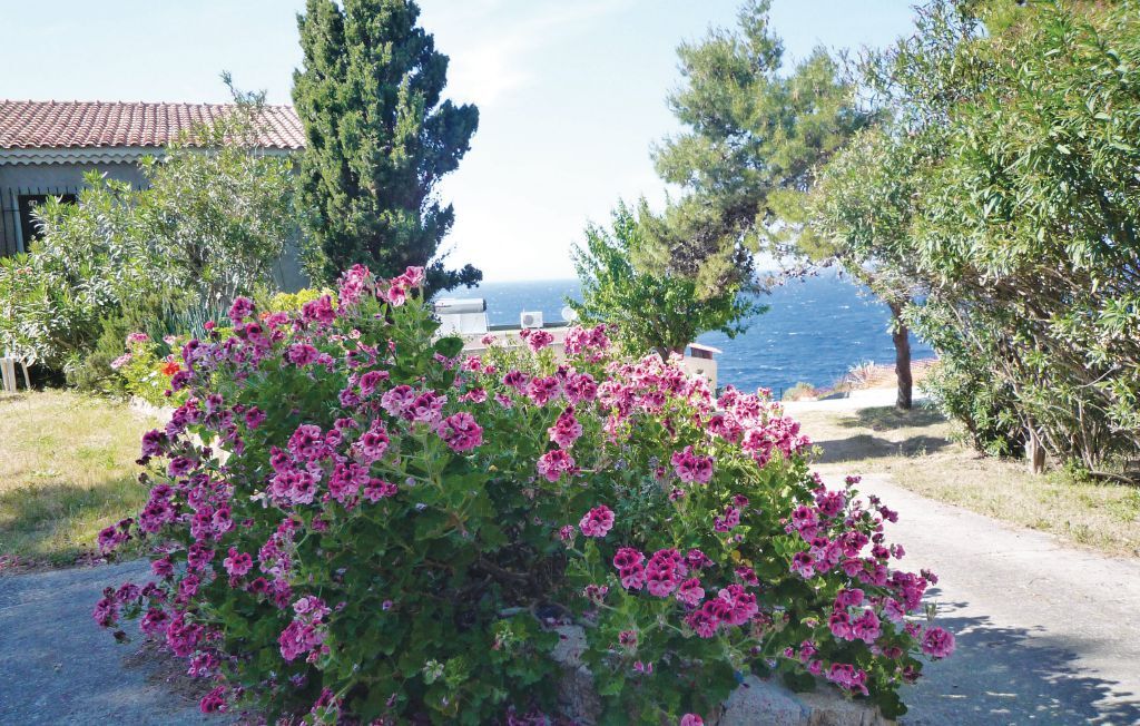 Appartement 7 personnes à Calvi - Photo 7