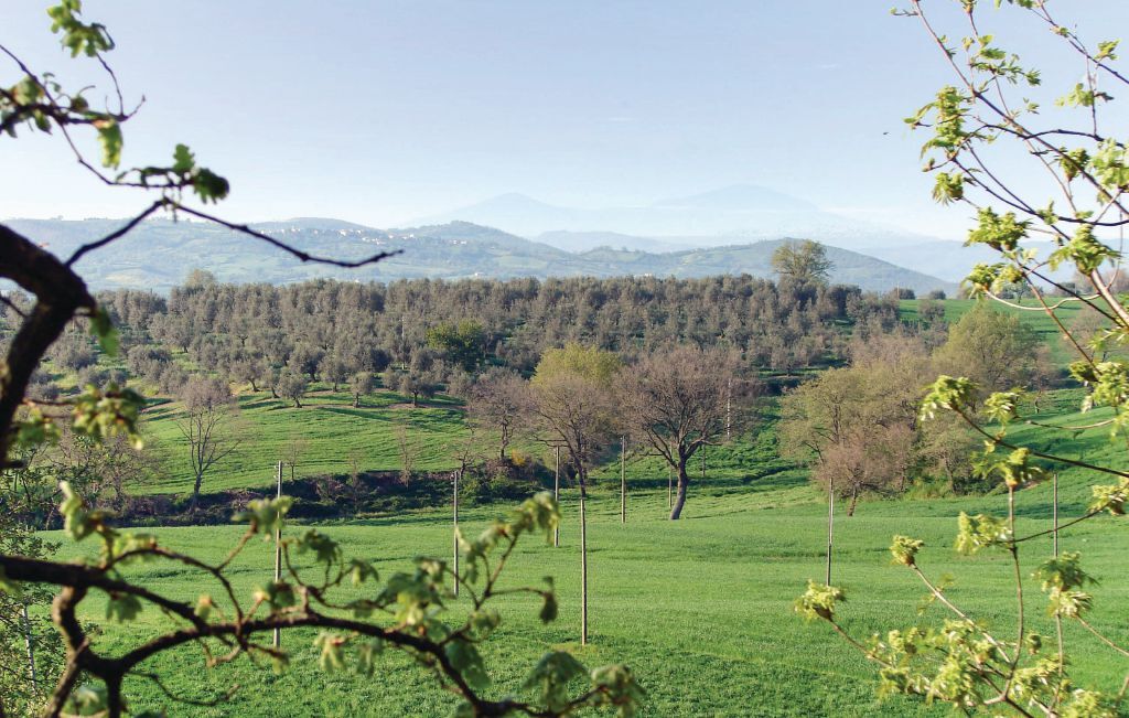 Torrepiena, tour de guet en Toscane avec piscine - Photo 23