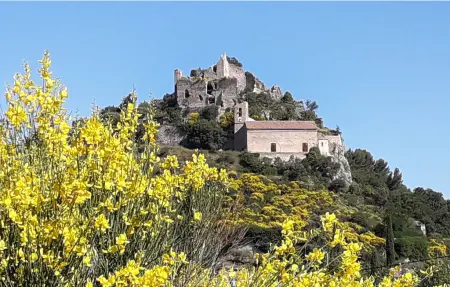 Maison 1 chambre avec vue sur le château d'Entrechaux : photo 26