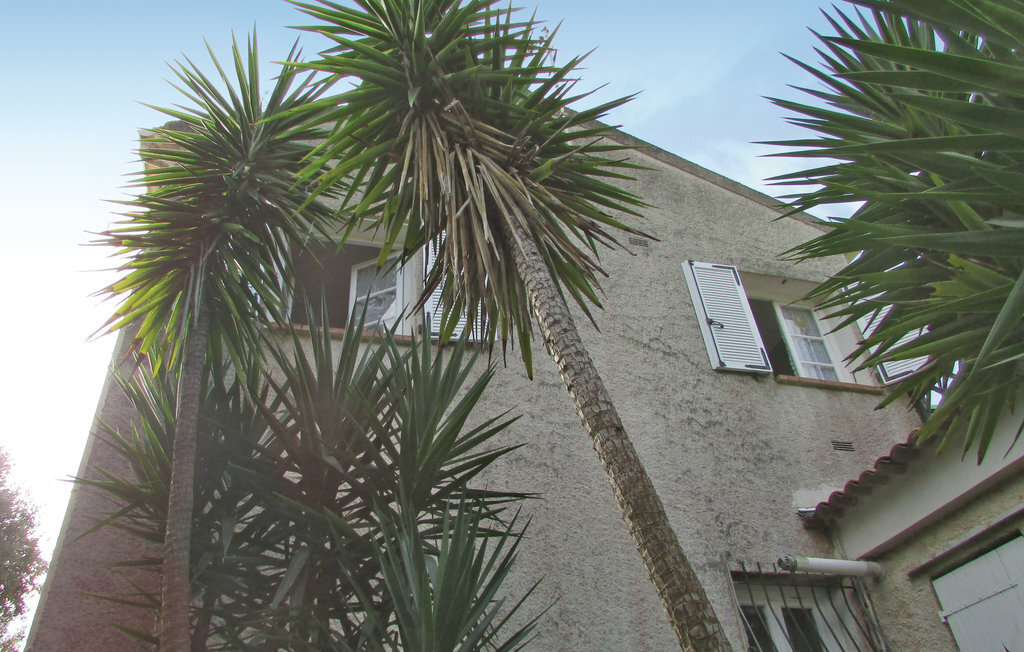 Maison 3 chambres Sagone, 300 m de la plage - Photo 6