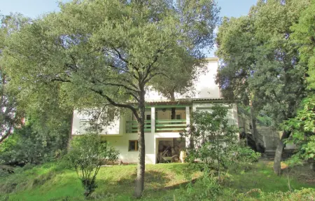 Location maison à Sagone