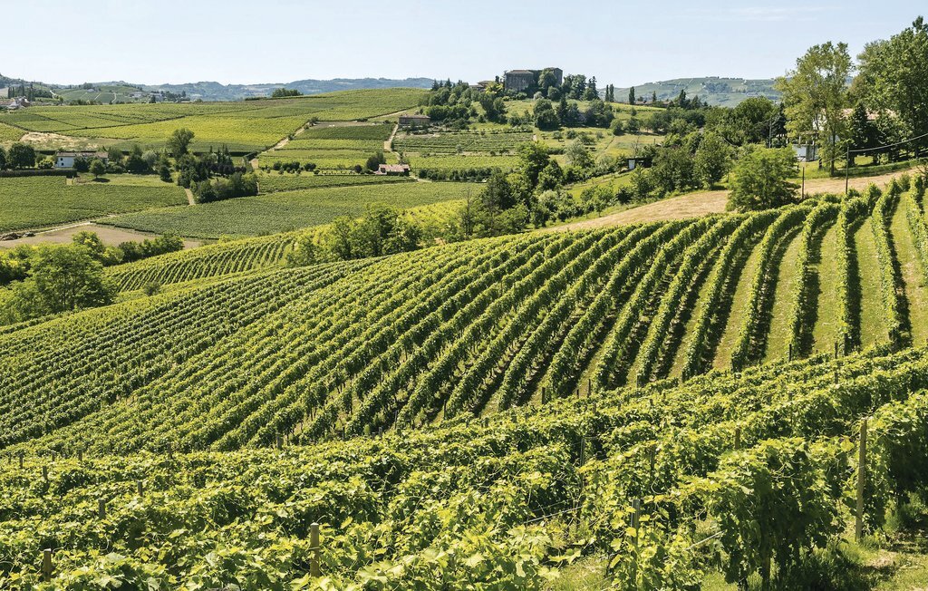 Maison avec spa privé près des Langhe - Photo 18