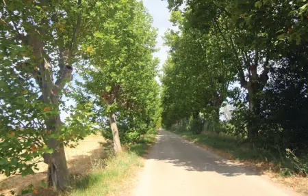 Maison 4 personnes à Narbonne - Photo 9