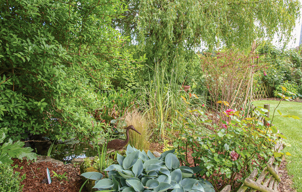 Maison 6 pers. avec jardin, verger et golf à 1 km - Photo 17