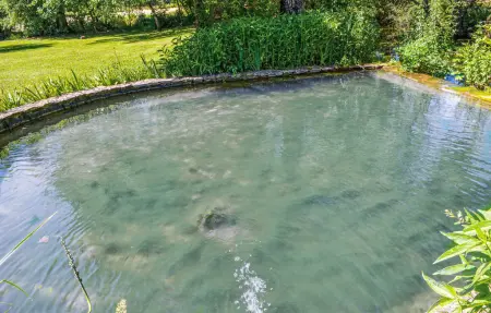 Maison périgourdine 10 pers. avec piscines, Coly : photo 36