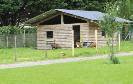 Maison bois 6 pers. avec jardin et animaux à Brain-sur-Alonnes : photo 11