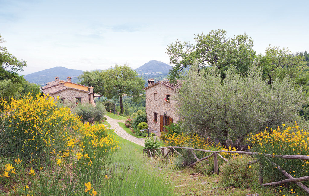 Podere Giovannini : maison tour ombrien 18 pers. - Photo 10