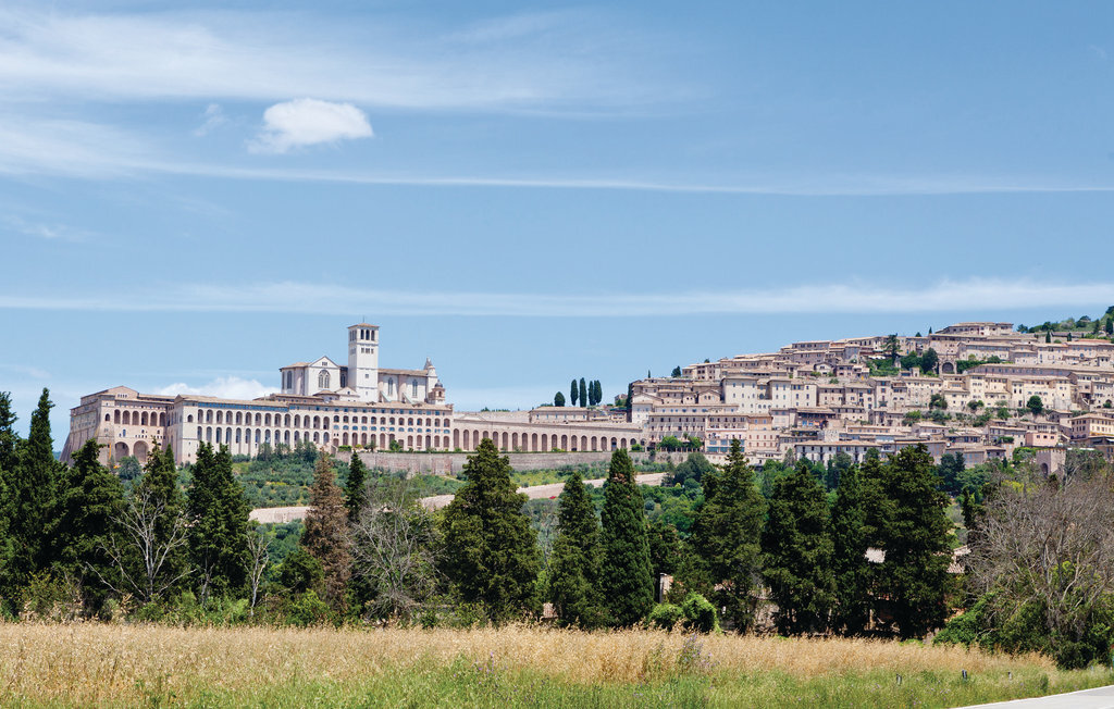 Podere Giovannini : maison tour ombrien 18 pers. - Photo 34