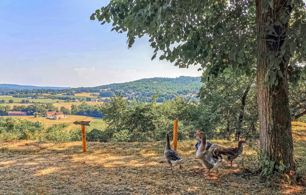 Maison 6 pers. avec piscine privée en Dordogne - Photo 35