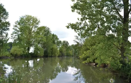 Maison de ferme rénovée avec piscine privée à St Pierre d'Eyraud : photo 23