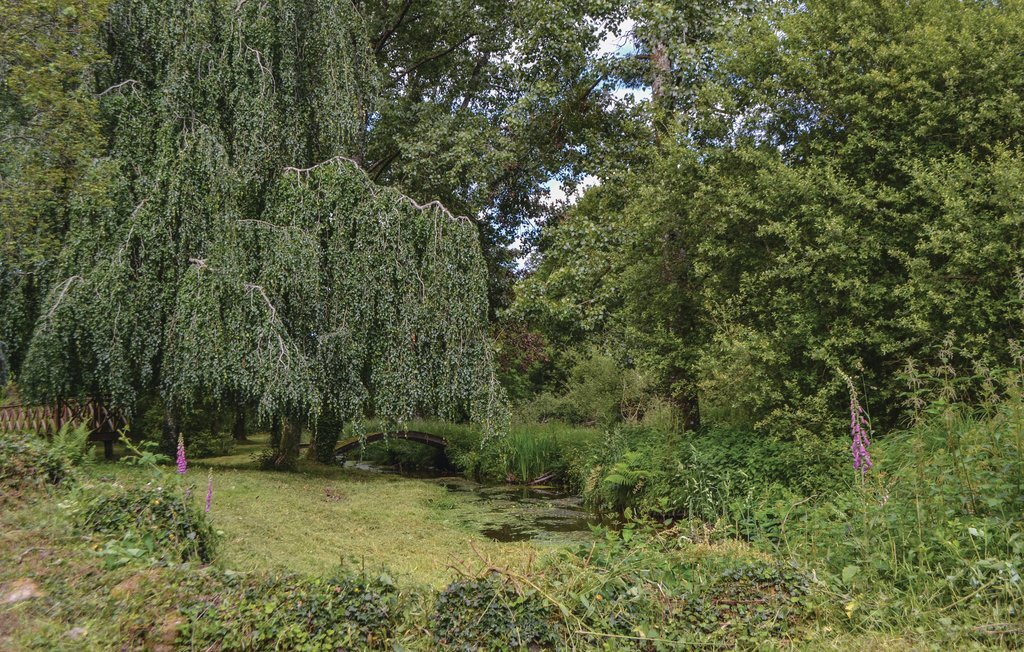 Maison en pierre du 16e siècle à Guern, lac privé et pêche - Photo 15