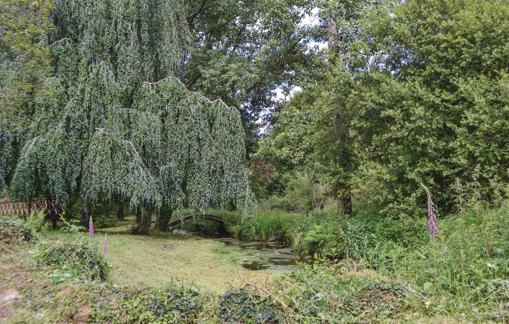 Maison en pierre du 16e siècle à Guern, pêche à l'étang - Photo 12
