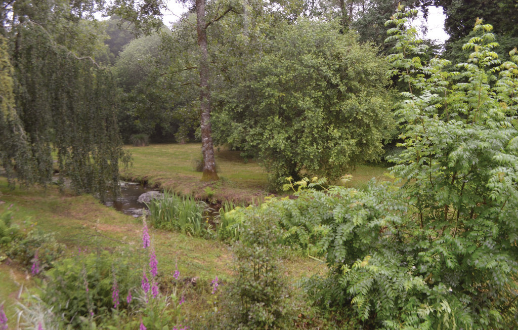 Maison en pierre du 16e siècle à Guern, pêche à l'étang - Photo 14
