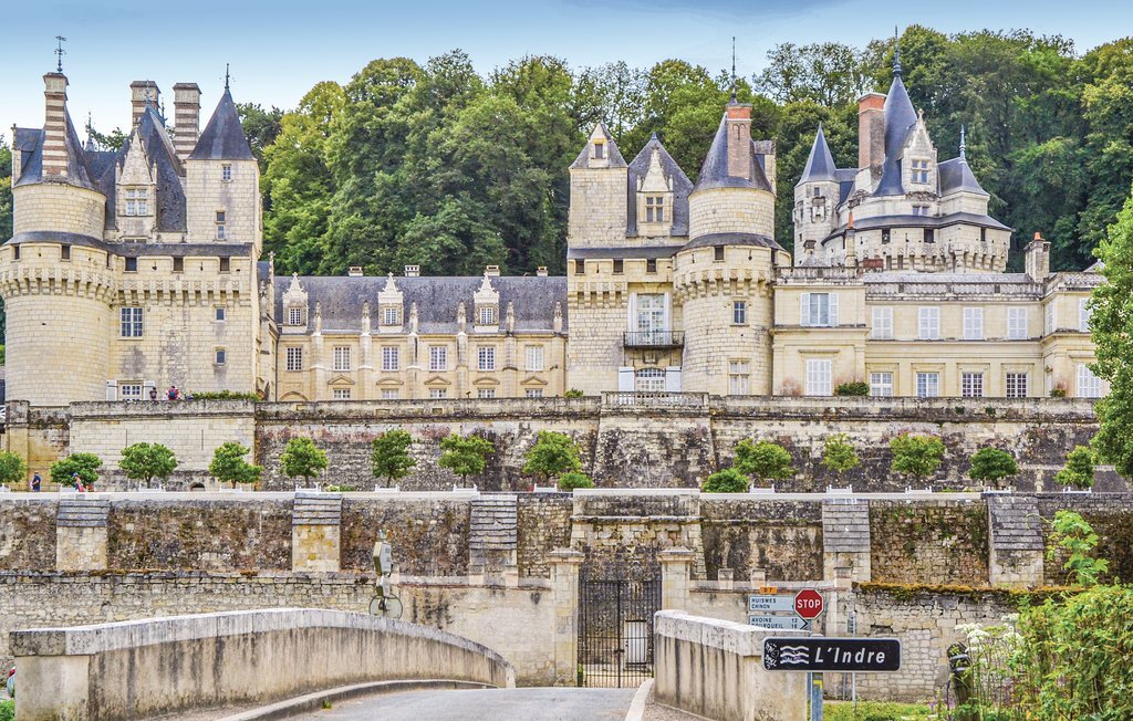 Maison du 15e siècle sur 30 ha près d'Azay-le-Rideau - Photo 33