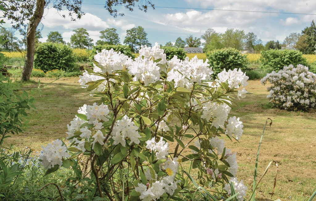 Maison de maître à Vassy, 1 hectare de jardin - Photo 14