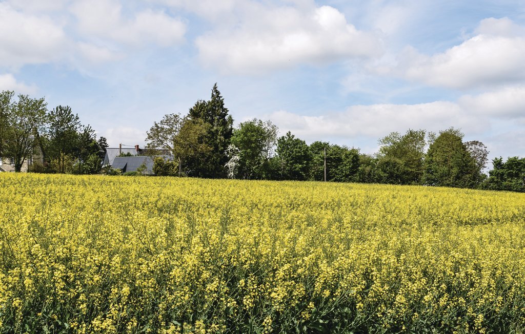 Maison de maître à Vassy, 1 hectare de jardin - Photo 19