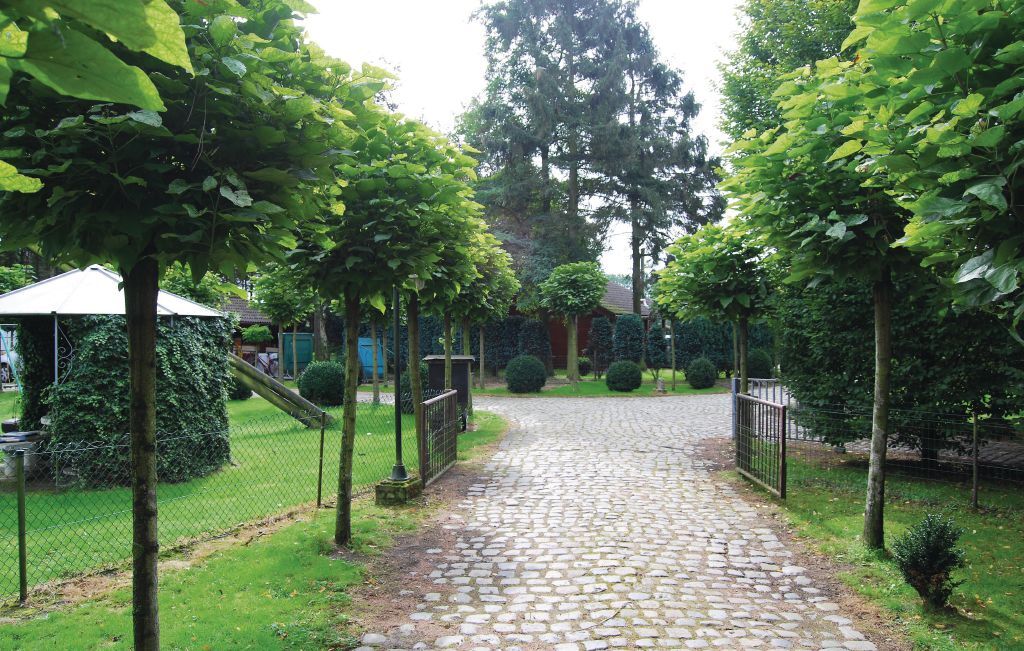 Maison Sjapoo 6 pers., jardin 1000 m² à Wachtebeke - Photo 9