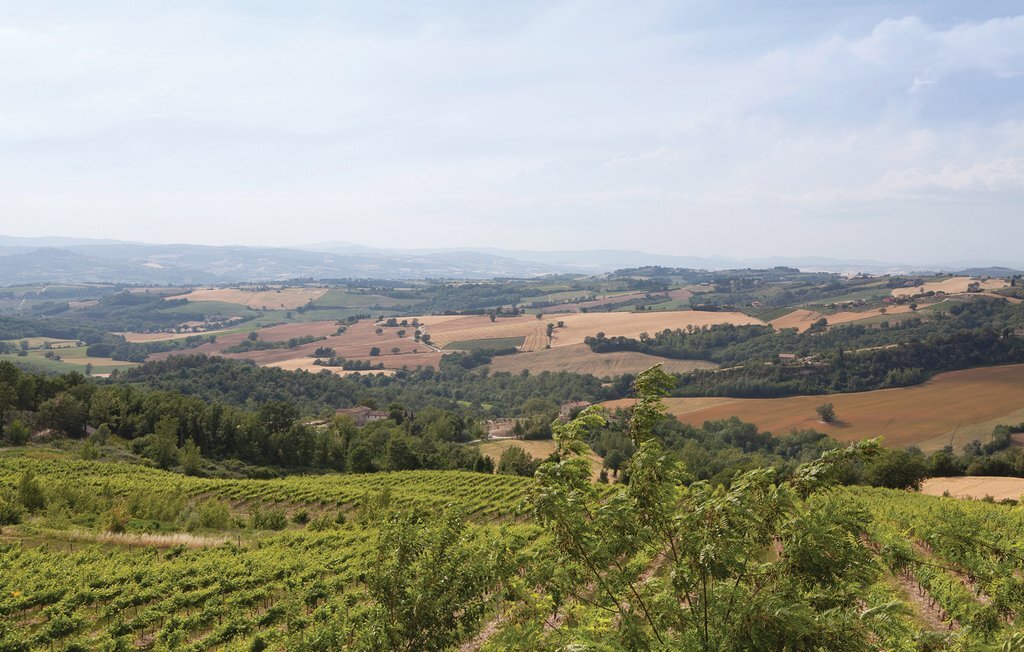 Castello di Petroro, maison 10 pers. vue Todi - Photo 51