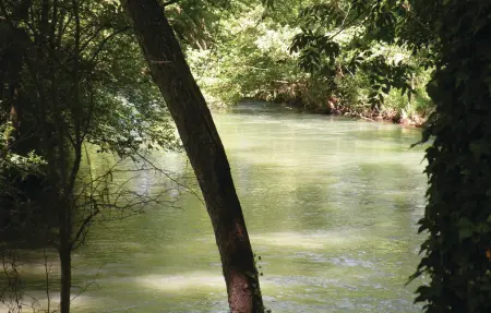 Maison avec piscine privée à L'Isle sur la Sorgue : photo 25