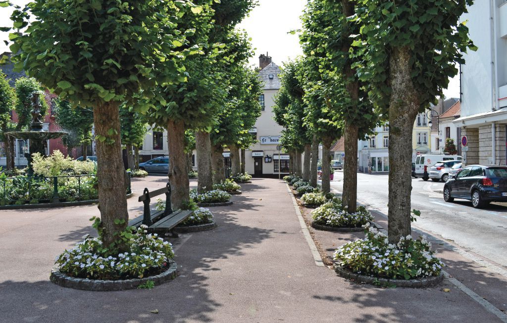Gite de la Lombardie, Maison 6 personnes à Lottinghen - Photo 28